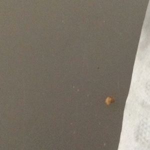 Meet your Posher, Shaun